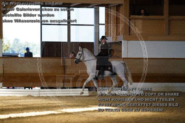 s_K3F02910.JPG